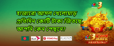 ডেইলি স্পিন এবং ফ্রি রাউন্ড promotion
